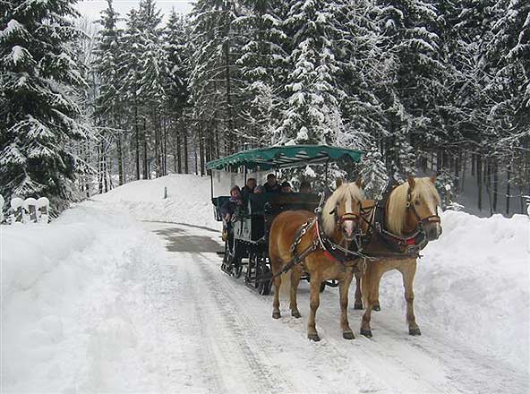 Unbenanntes Dokument